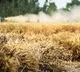 farmers flexies in medak