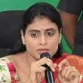 YS Sharmila declares she contests from Paleru