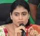 YS Sharmila declares she contests from Paleru
