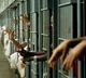 Nearly 8000 Indian prisoners lodged in foreign jails most in Saudi Arabia