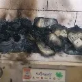 ACB team at his doorstep Rajasthan official burns 20 lakh