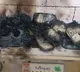 ACB team at his doorstep Rajasthan official burns 20 lakh