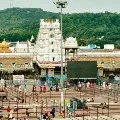 Rush Continues in Tirumala