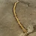 Ants pulls gold chain