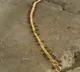 Ants pulls gold chain