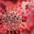 80pc of new Covid19 cases only in 6 states