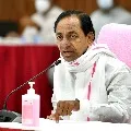 Telangana govt imposes strict measures