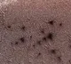 Triniti college researchers reveals the mystery of Spiders on Mars