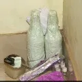 Snake Venom Worth Over 1 Crore Seized In Odisha 6 Arrested