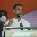 Rahul Gandhi critics in Tamilnadu election campaign