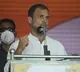 Rahul Gandhi critics in Tamilnadu election campaign