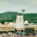 TTD on Second Thought for Piligrims Allowed for Arjitha Sevas in Tirumala