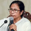 Did Call BJP Leader says Mamata Banerjee
