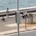 Anand Mahindra comments on video containing duck walk punishment visuals in Mubai