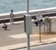Anand Mahindra comments on video containing duck walk punishment visuals in Mubai