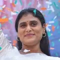 YS Sharmila targets KCR