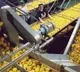Centre approves PLI Scheme for Food processing industry