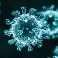 Researchers said covid reinfection causes severity in elderly people