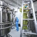 Russia brings corona vaccine for animals for the first time in ther world