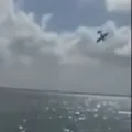 Gender Reveal party turns a mishap