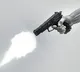 Police Open Fire on Rape Accused