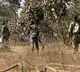 21 jawans missing after deadly encounter with Naxals on Sukma Bijapur border