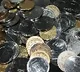 employees  getting Rs 15000 worth of salary in coins