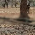 22 Jawaans Killed in Chattisgarh Encounter