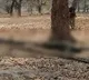 22 Jawaans Killed in Chattisgarh Encounter