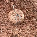 Naxals blasts landmine in Chhattisgarh
