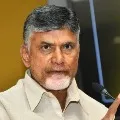 Chandrababu demands CBI enquiry on Hindu gods idols vandalisation