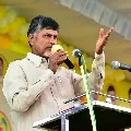 Chandrababu wrote AP DGP over idols vandalizing in state