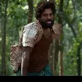 Allu Arjun Pushpa teaser video released