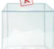 ruckus in voting