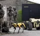French army tests robot dog Spot for battlefield