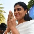 Supporters at YS Sharmila House in Hyderabad