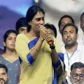 Sharmila will announce her party name on YSR birth anniversary