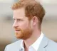 Is Harry and Merkel Come for Prince Funeral