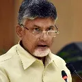 chandrababu slams ysrcp