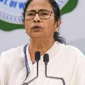 Mamata Banerjee On Violence Outside Bengal Polling Booth