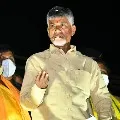 Chandrababu roadshow in Nellore district