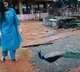 Peacock Attack on Heroin Video goes Viral