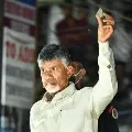 Police questions Chandrababus security on stone pelting
