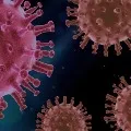 Four thousand above corona positive cases in AP since last one day