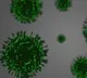 70 percent samples in chandigarh have UK strain virus