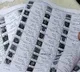 Fake voters in Tirupali polling