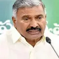 peddireddy slams chandrababu naidu