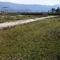 businessman registered land illegally 19 years back