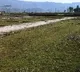 businessman registered land illegally 19 years back