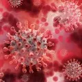 Scientists have identified human genes that fight against corona virus